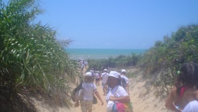 Photo of Caminhada Ecológica Integra Visitantes com a Natureza e o Parque Estadual de Itaúnas