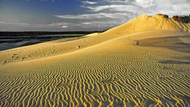 Photo of Ecoturismo em Dunas de Itaúnas. Conheça os Serviços e Pacotes de Turismo