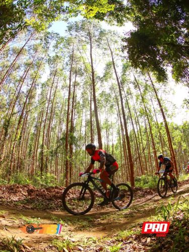 WhatsApp-Image-2025-09-29-at-15.38.37-2